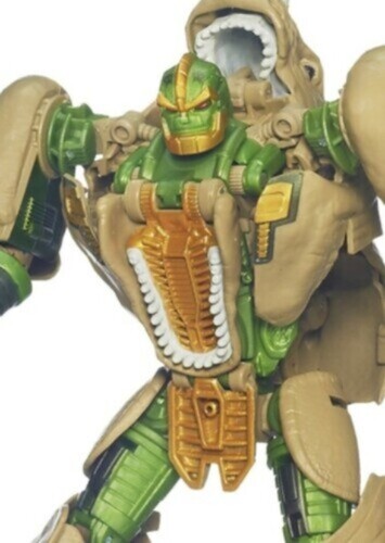 Rhinox