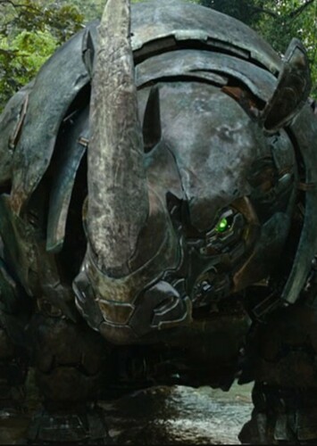Rhinox