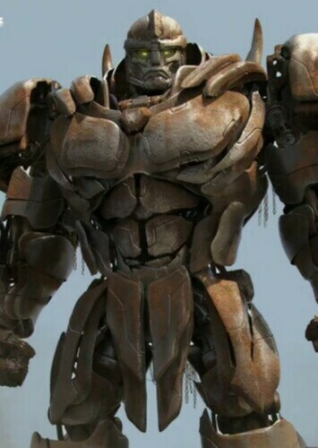 Rhinox