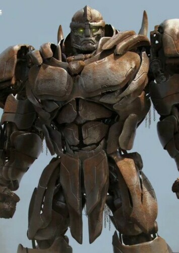 Rhinox