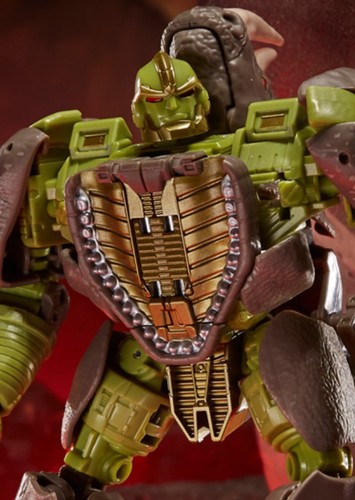 Rhinox