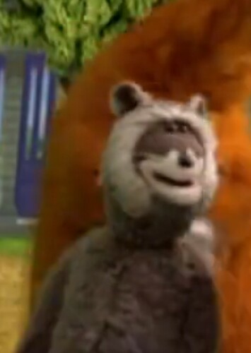 Rhonda The Raccoon