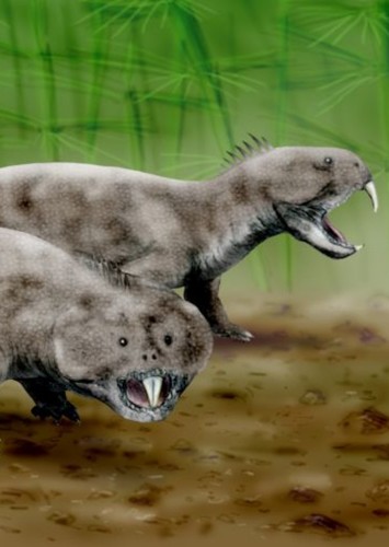 Rhynchosaurus