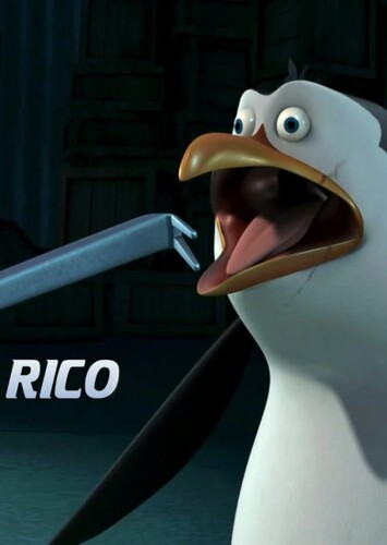 Rico the Adelie Penguin