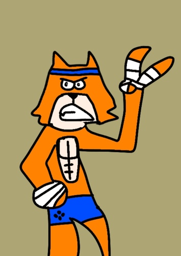 Riger