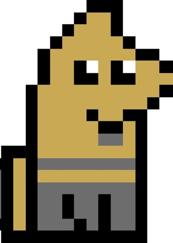 Rimbu Raccoon