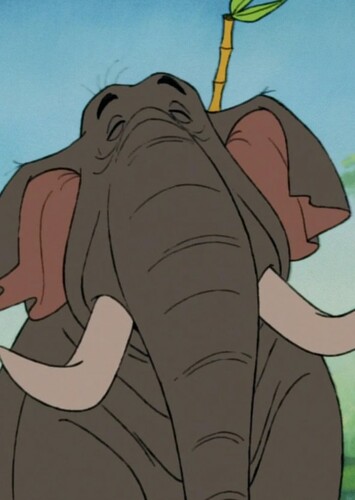 Ringo The Elephant