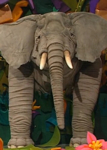 Ringo The Elephant