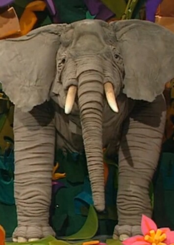 Ringo The Elephant