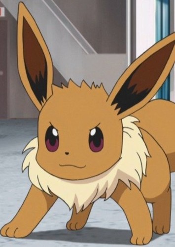 Risa's Eevee
