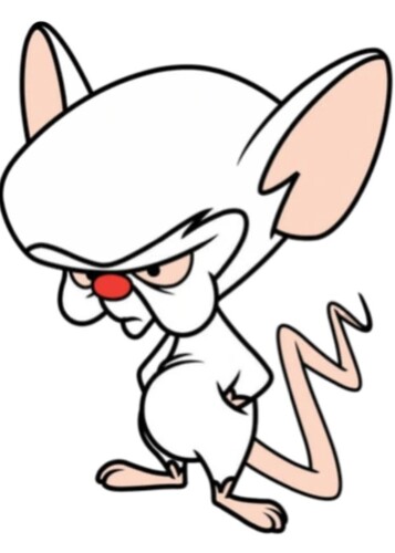 The Brain