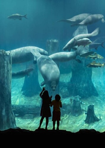 River Wonders