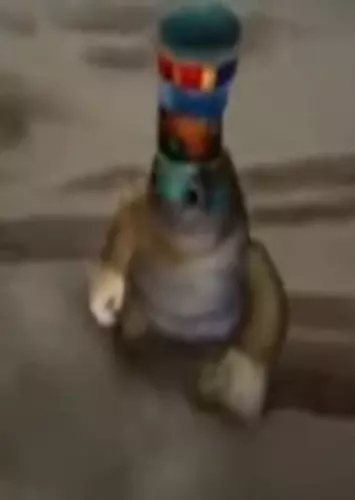 Rizzopolus
