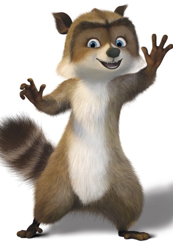 RJ The Raccoon
