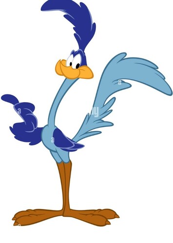 Road Runner