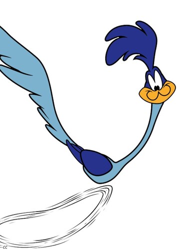 Road Runner