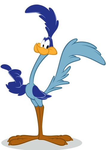 Road Runner