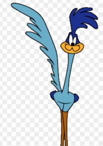 Roadrunner