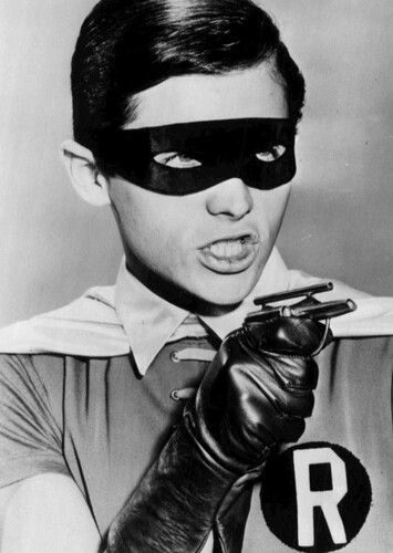 Robin
