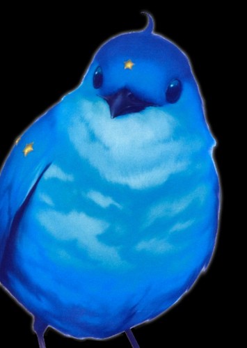 Robin