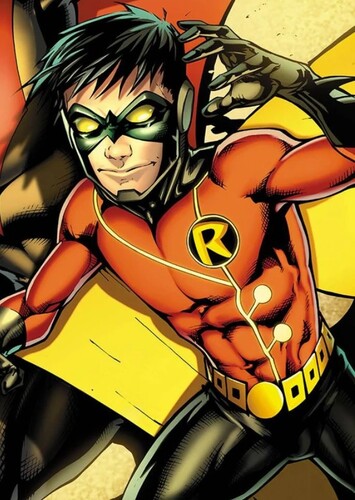 Robin IX