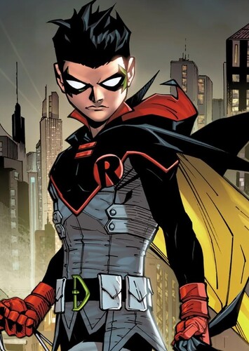 Robin V