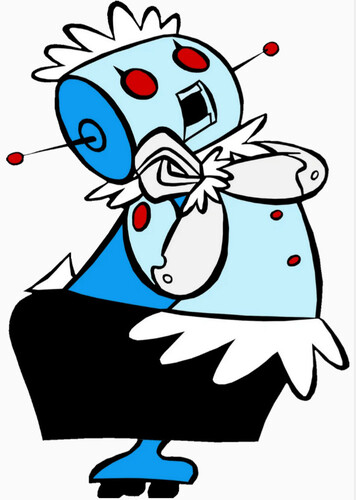 Robot Maid