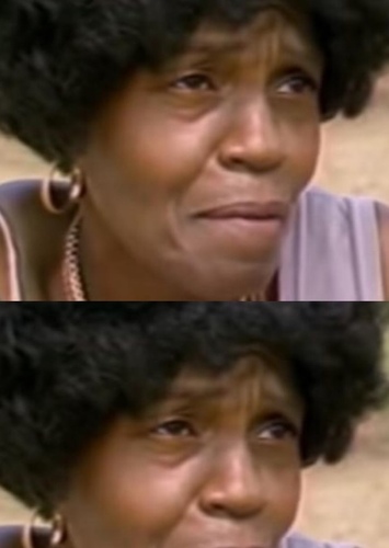 CHRISTINE COBB (SECT MEMBER)
