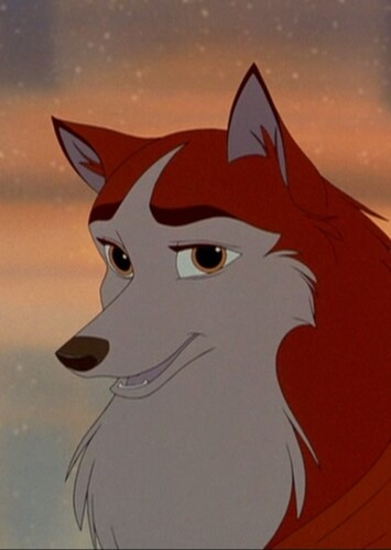 Rochelle The Red Siberian Husky