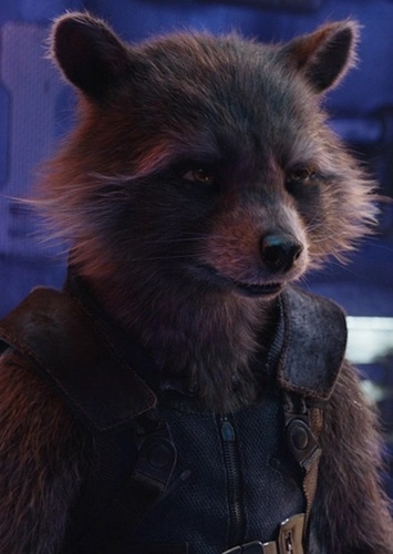 Rocket