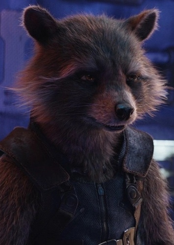 Rocket