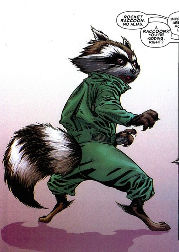 Rocket Raccoon
