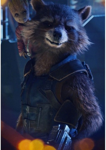 Rocket raccoon