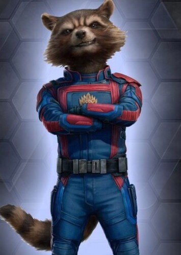 Rocket Raccoon / 89P13