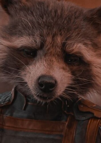 Rocket Raccoon