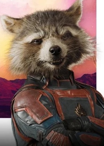 Rocket Raccoon