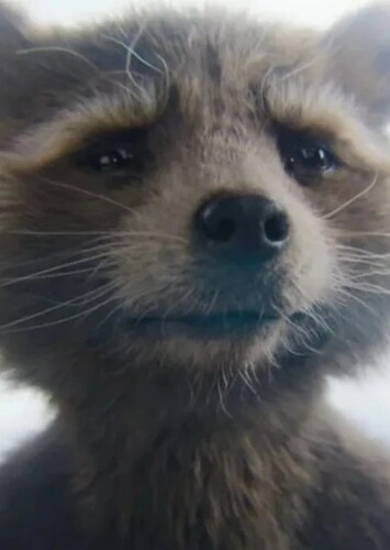 Rocket Raccoon