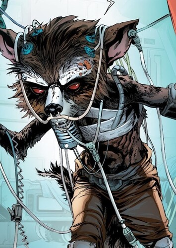 Rocket Raccoon
