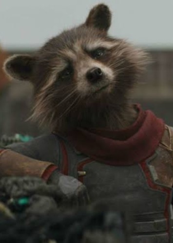 Rocket Raccoon