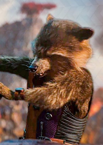 Rocket Raccoon