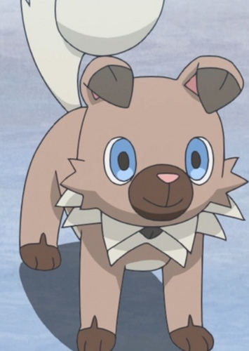 Rockruff