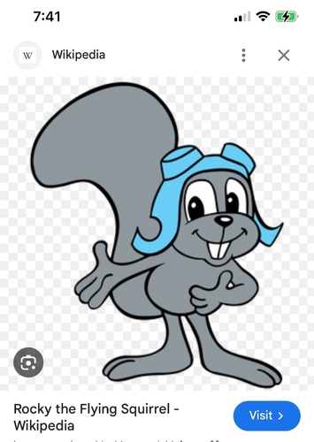 Rocky squirrel