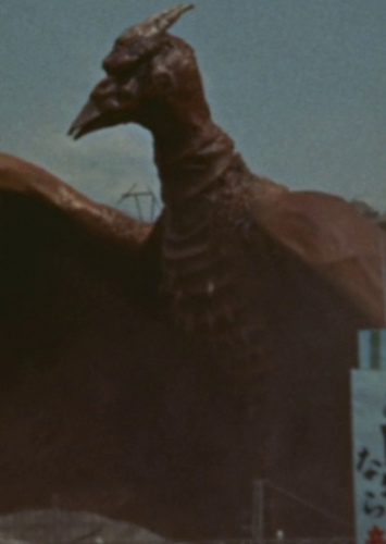 Rodan (Female)