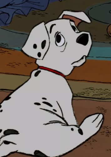 Rolly