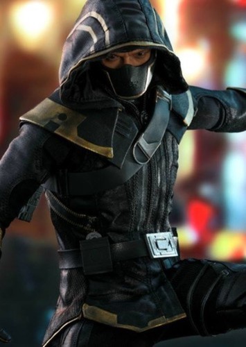 Ronin