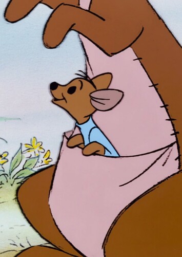Roo