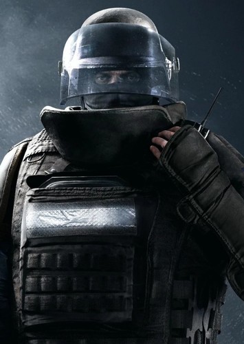 Rook