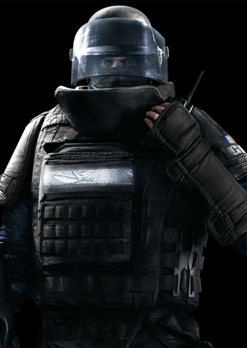 Rook