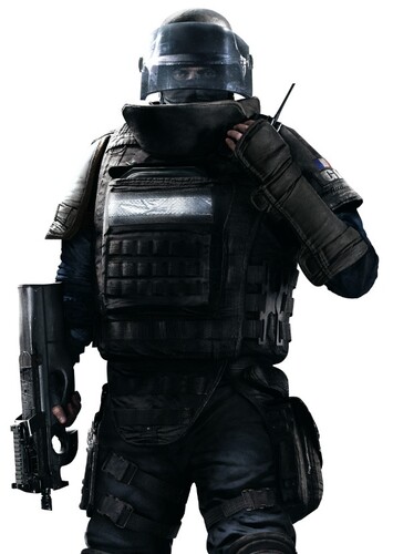 Rook