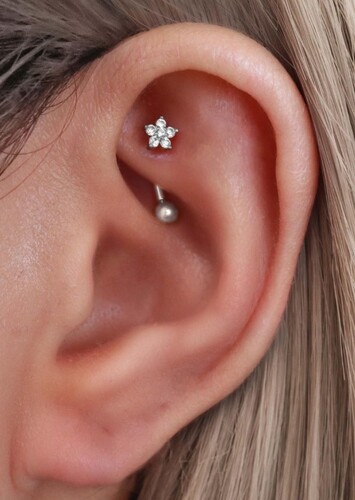 Rook